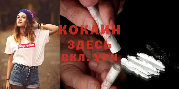 стаф Няндома
