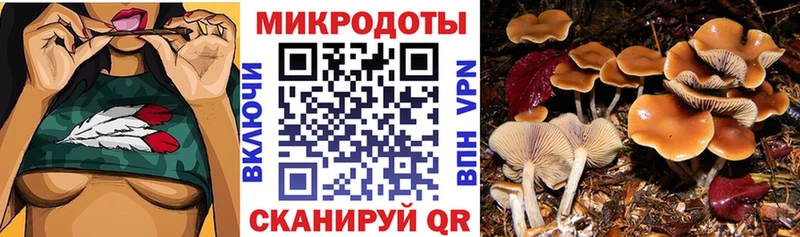 купить закладку МЕГА ССЫЛКА Псилоцибиновые грибы Cubensis Семилуки
