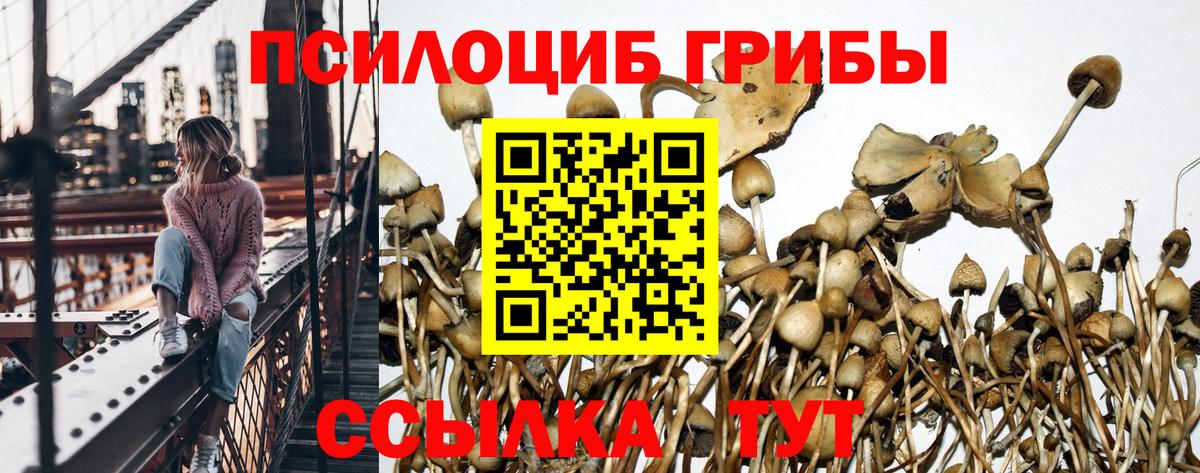 МЕФ Семилуки